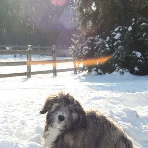 Meet your Posher, Magda